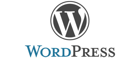 WordPress Agentur