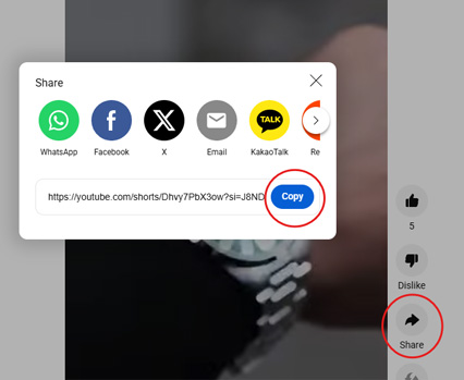 YouTube Short embed Code