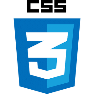 CSS Logo