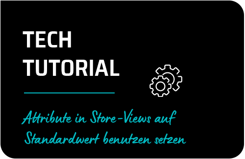 Attribute in Store-Views auf Standardwert benutzen setzen