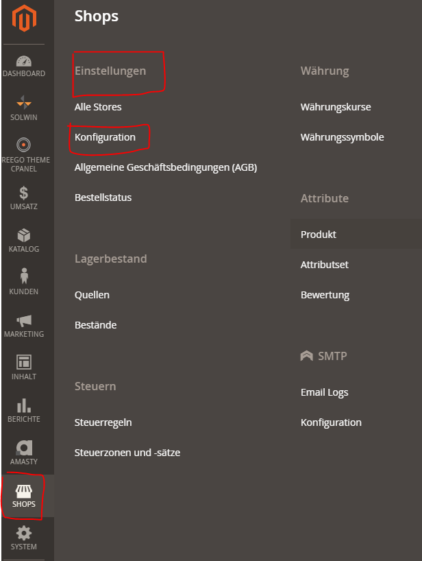 API-Key-in-Magento-hinterlegen