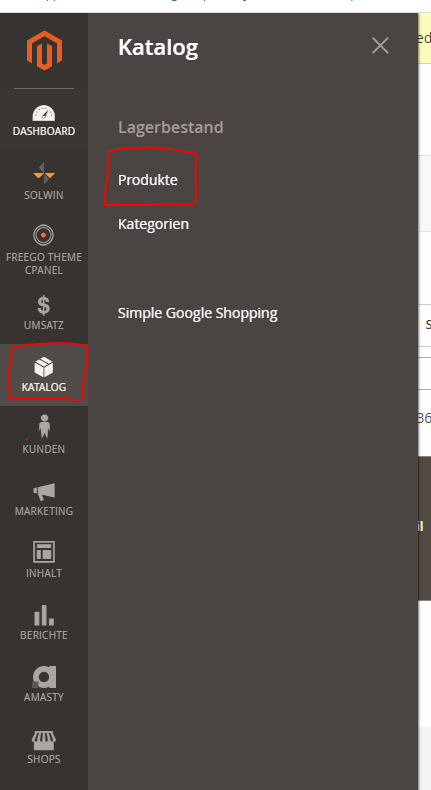 Magento-Katalog-Produkte