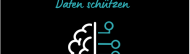 KI-Crawler: Was du wissen musst und wie du deine Inhalte schützen kannst