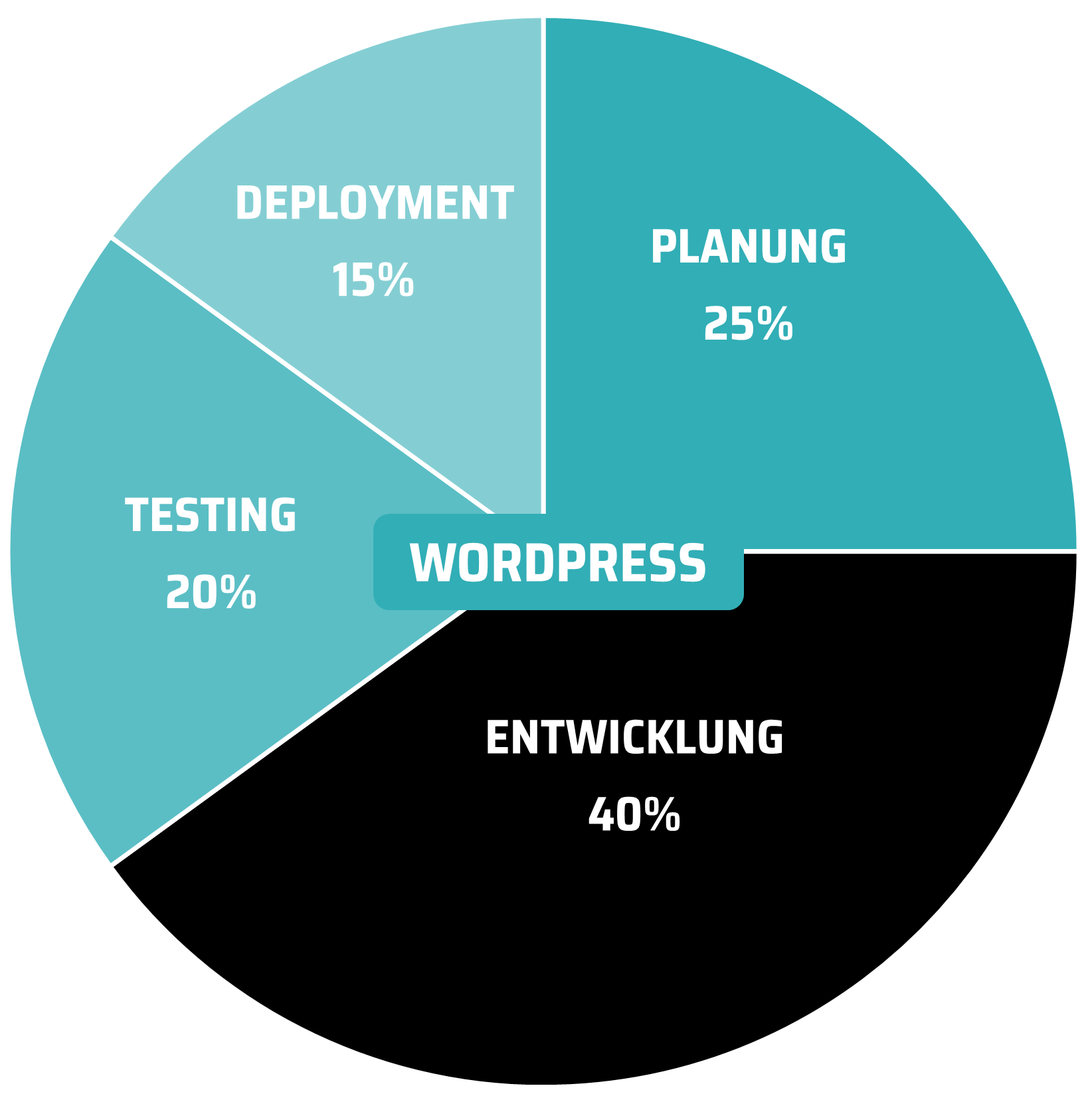 WordPress Entwicklung