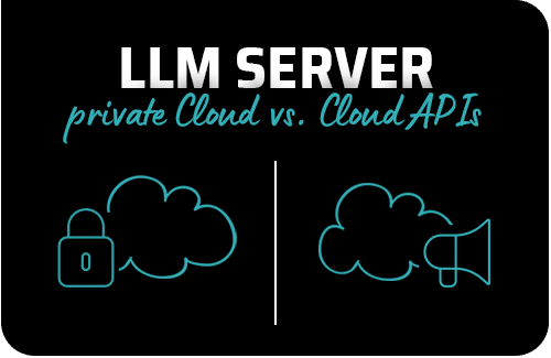 LLM Server Hosting private Cloud vs. public Cloud API